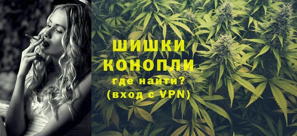 молекула духа Арсеньев