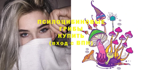 синтетический гашиш Няндома