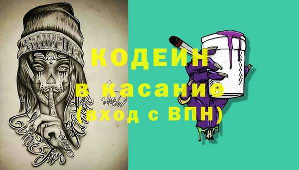 молекула духа Арсеньев