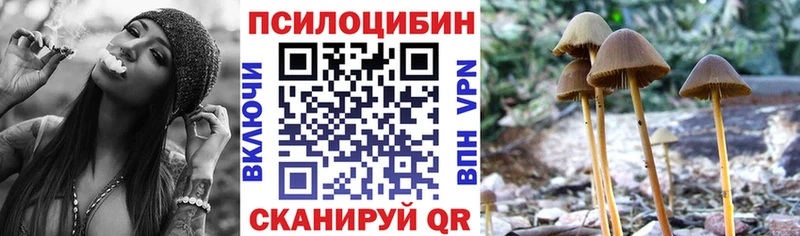 Галлюциногенные грибы Psilocybe  Багратионовск 